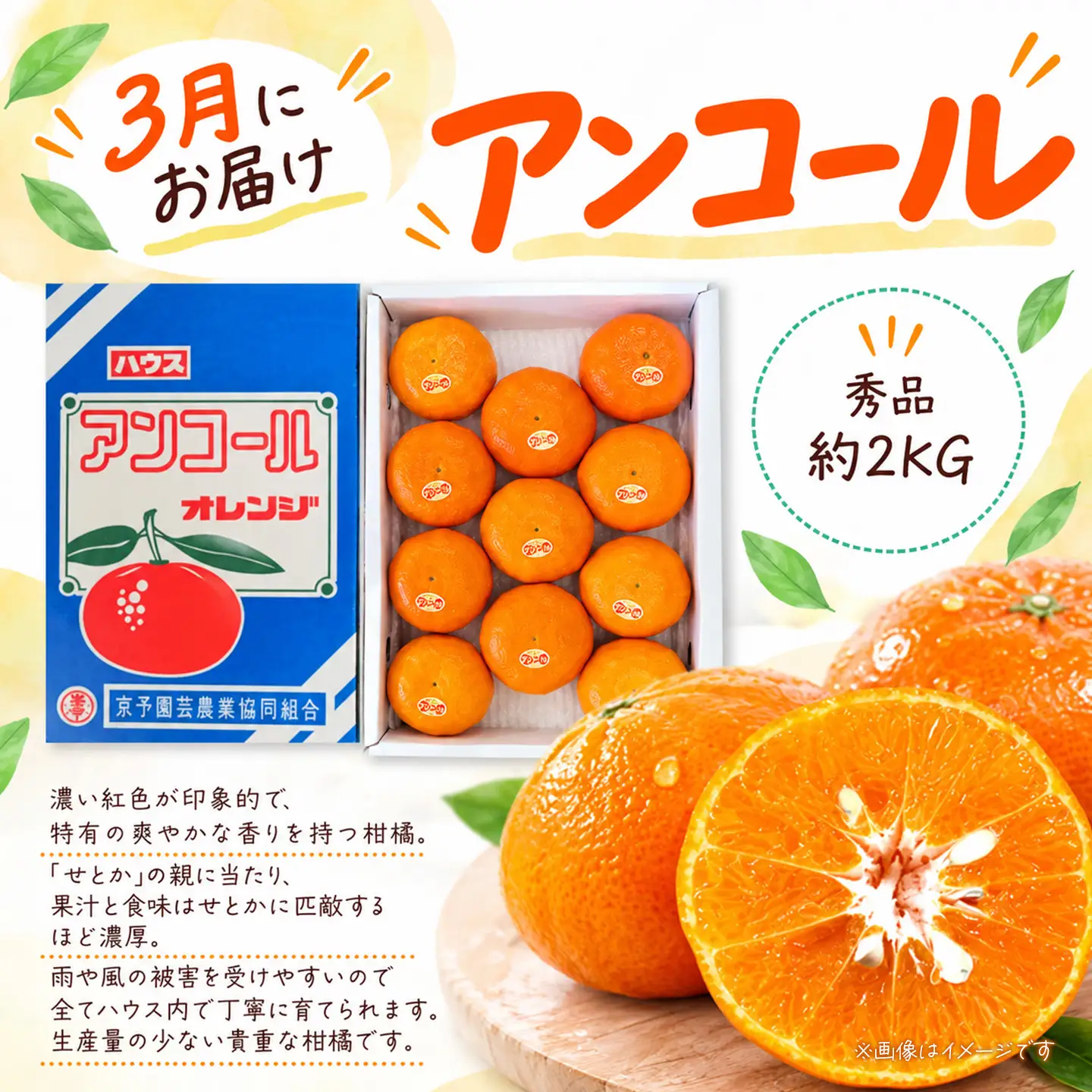 【12月開始】かんきつ定期便（全4回）【紅まどんな 甘平 アンコール デコポン】まどんな