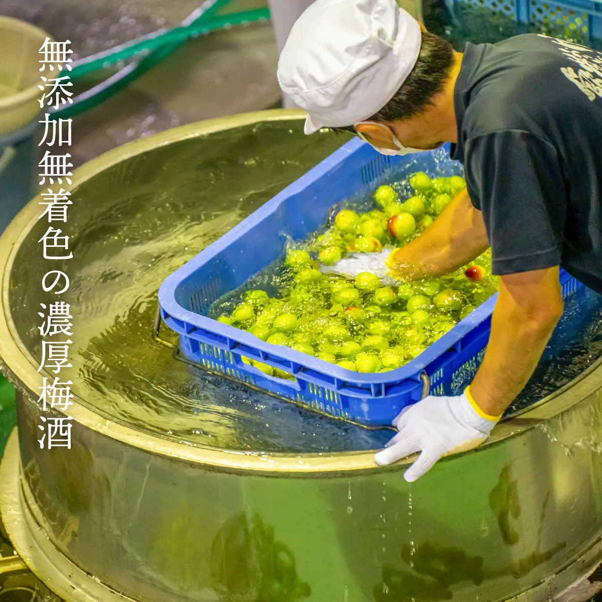 2020年春全国酒類コンクール リキュール部門第1位　熟成梅酒720ml　2本セット　宮崎県高千穂産梅使用  宮崎県高千穂産梅使用 お酒 アルコール 酒 梅 熟成梅酒 リキュール 晩酌 飲み会 宅飲み 家飲み ストレート 水割り 炭酸割り お湯割り お取り寄せ 国産 _Tk023-013