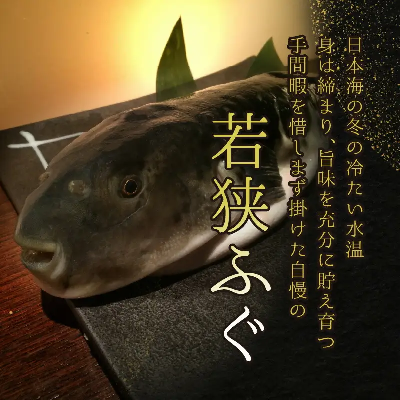 【先行予約/10月15日より順次配送】【着日指定】若狭ふぐ 料理 堪能 セット 4人前 ふぐ【冷蔵】小浜市/まるちゅう広田   [G-042001] [BFAZ003] 