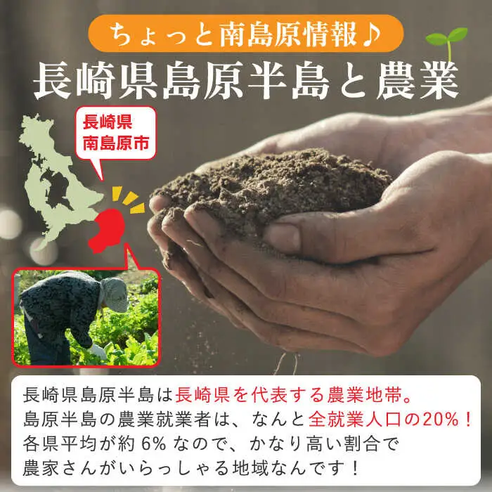 季節の野菜 15種類 セット 旬 産地直送 詰め合わせ / 野菜 やさい 新鮮 野菜セット / 南島原市 / ふるさと企画 [SBA023]
