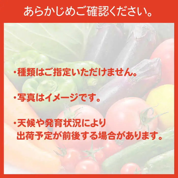 【6回定期便】直売所より発送！季節の野菜セット 7?10品目 / 野菜定期便 / ながさき南部生産組合 [SBW004]