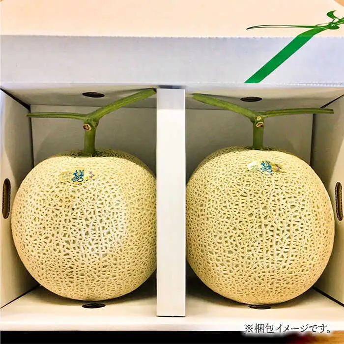 【2026年11月中旬-発送】アールス メロン (2玉) / メロン めろん メロン めろん メロン 青肉 果物 フルーツ / 南島原市 / JA島原雲仙東南部基幹センター [SAC004]