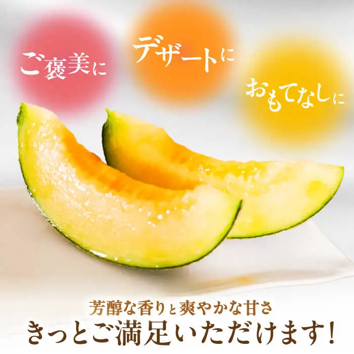 【2026年7月下旬-発送】【平成新山メロンPREMIUM（とみちゃん厳選）】アールスメロン 1玉 / メロン めろん 青肉 糖度 果物 くだもの フルーツ ふるーつ 旬 高級 ギフト / 南島原市 / うえだメロン園 [SAD005]