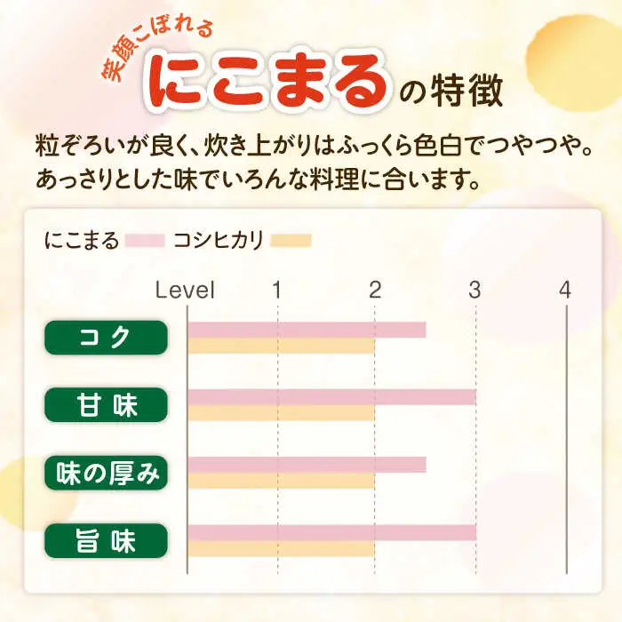 【12回定期便】 長崎県産 精米 にこまる 5kg [SDR004] 米