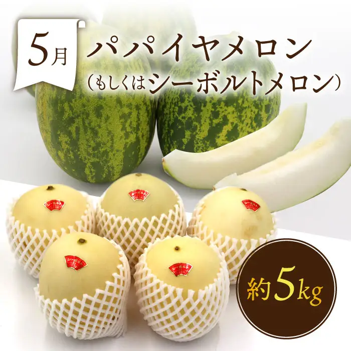 【6回定期便 奇数月コース】フルーツ 定期便 [SDZ021]