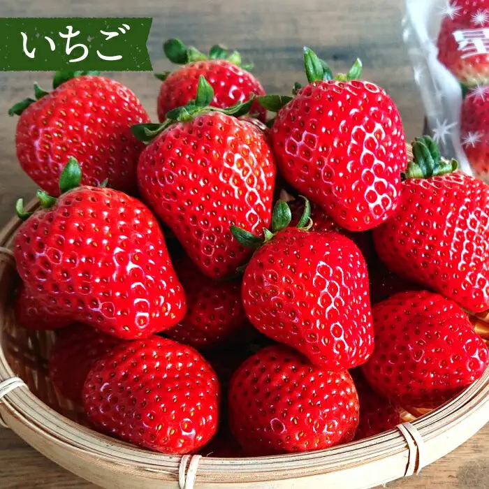 【6回定期便隔月】フルーツ定期便 [SCZ016] 旬のフルーツ