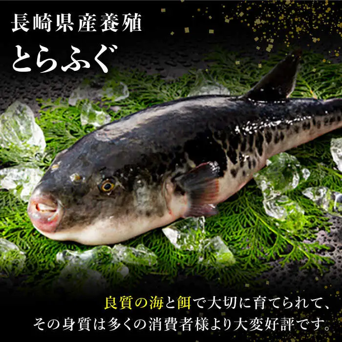 長崎県産 とらふぐ刺身と鍋セット3人前 / ふぐ フグ 河豚 トラフグ ふぐ刺し / 南島原市 / 大和庵 [SCJ007]