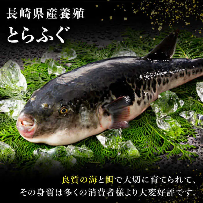 長崎県産 とらふぐ刺身と鍋セット3人前×2箱（Wセット）/ ふぐ フグ 河豚 トラフグ ふぐ刺し / 南島原市 / 大和庵 [SCJ008]