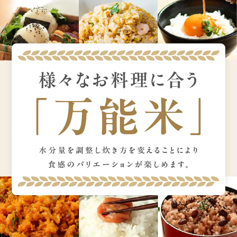 【先行予約】ヒノヒカリ 6kg