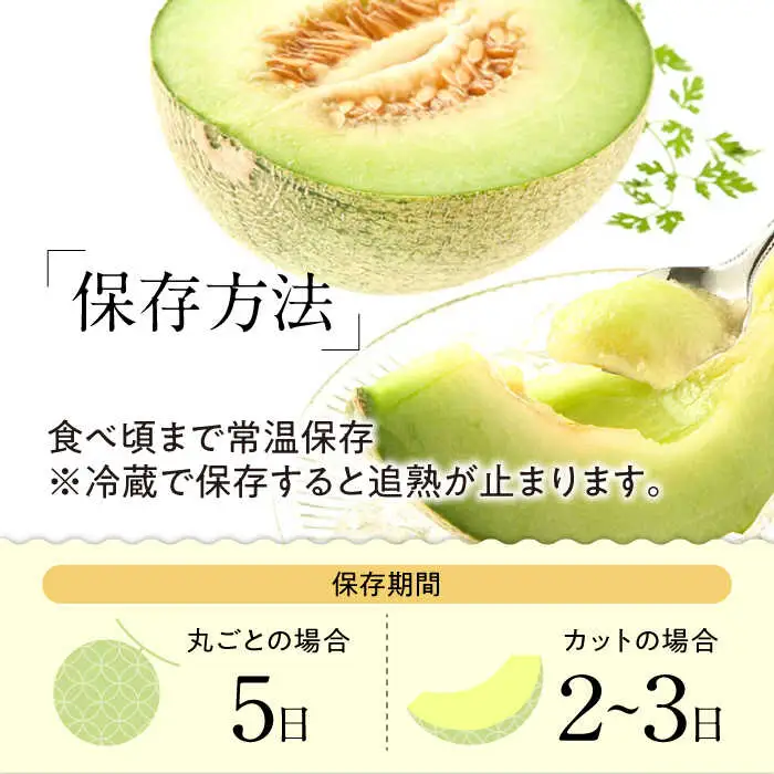【2027年5月-発送】【さわやかな味！ 】タカミメロン 1玉 （約1kg）  / メロン 南島原市 / 南島原果物屋 [SCV005]