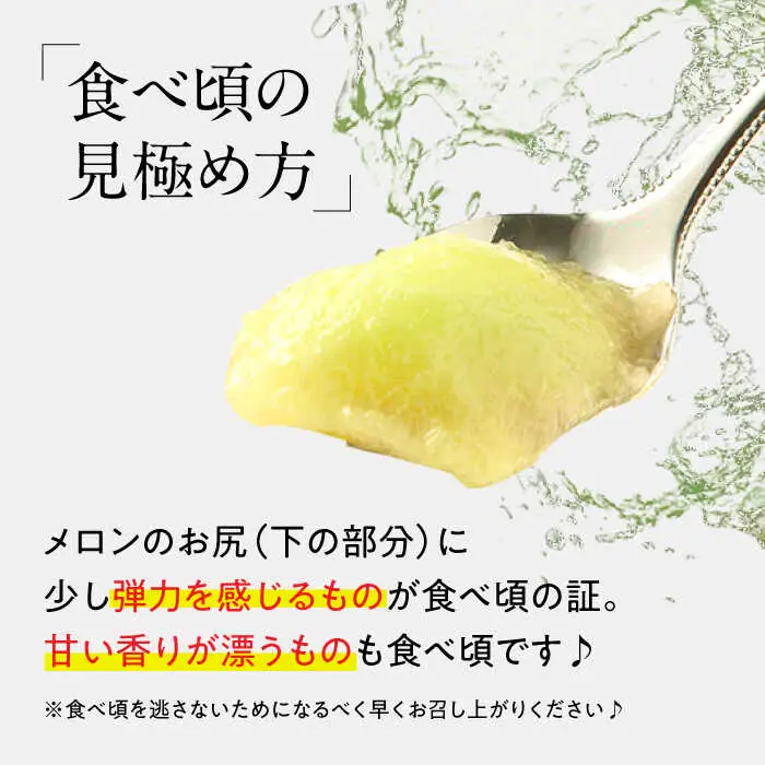 【2027年4月下旬-発送】【根強い人気！】 プリンスメロン 2箱 セット（1箱 7?13玉）  / メロン 南島原市 / 南島原果物屋 [SCV008]