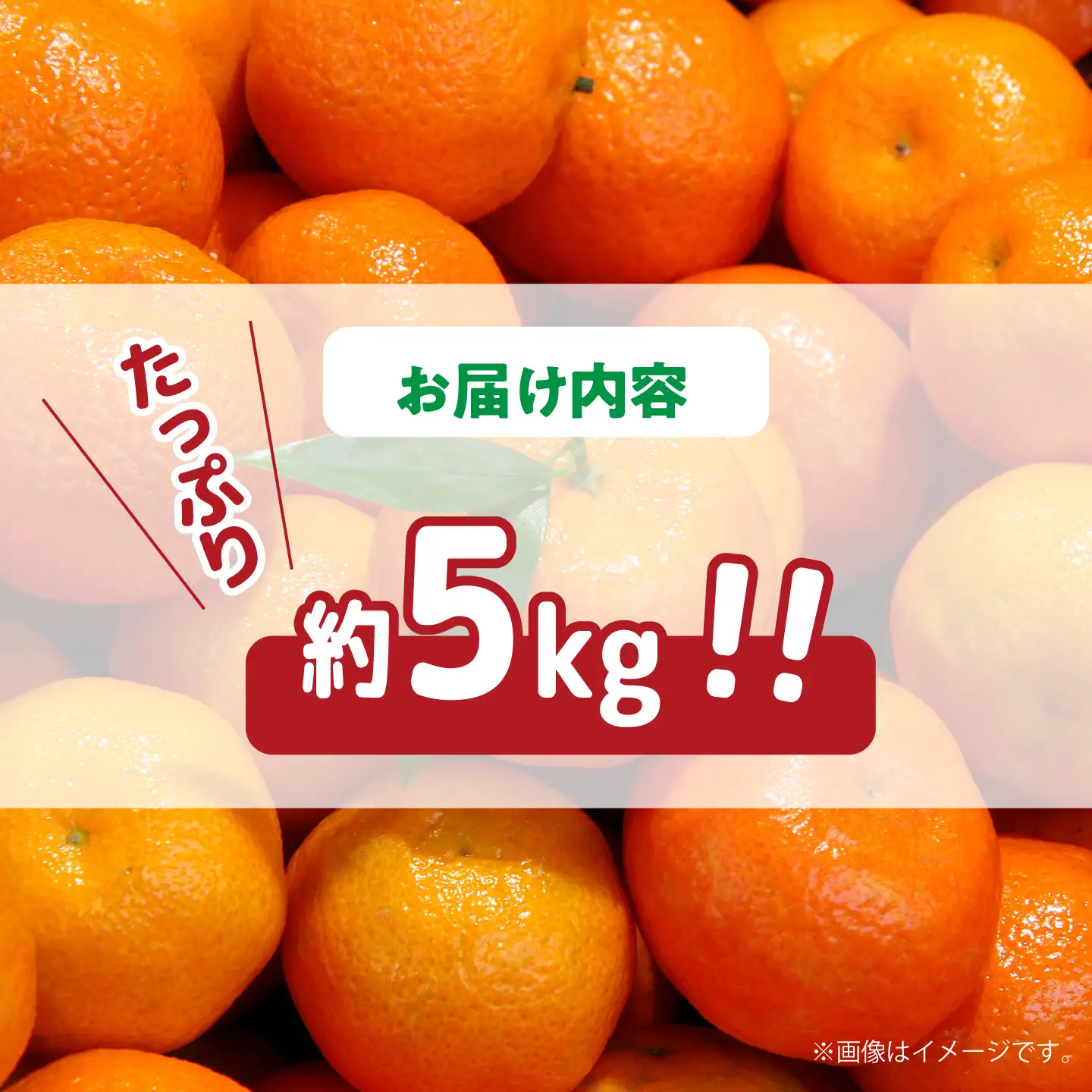 【2026年11月下旬-発送】【高糖度】 温州みかん 約5kg / みかん ミカン 蜜柑 長崎県産みかん 糖度 果物 くだもの フルーツ ふるーつ 旬 家庭用 5kg / 南島原市 / 南島原果物屋 [SCV011]