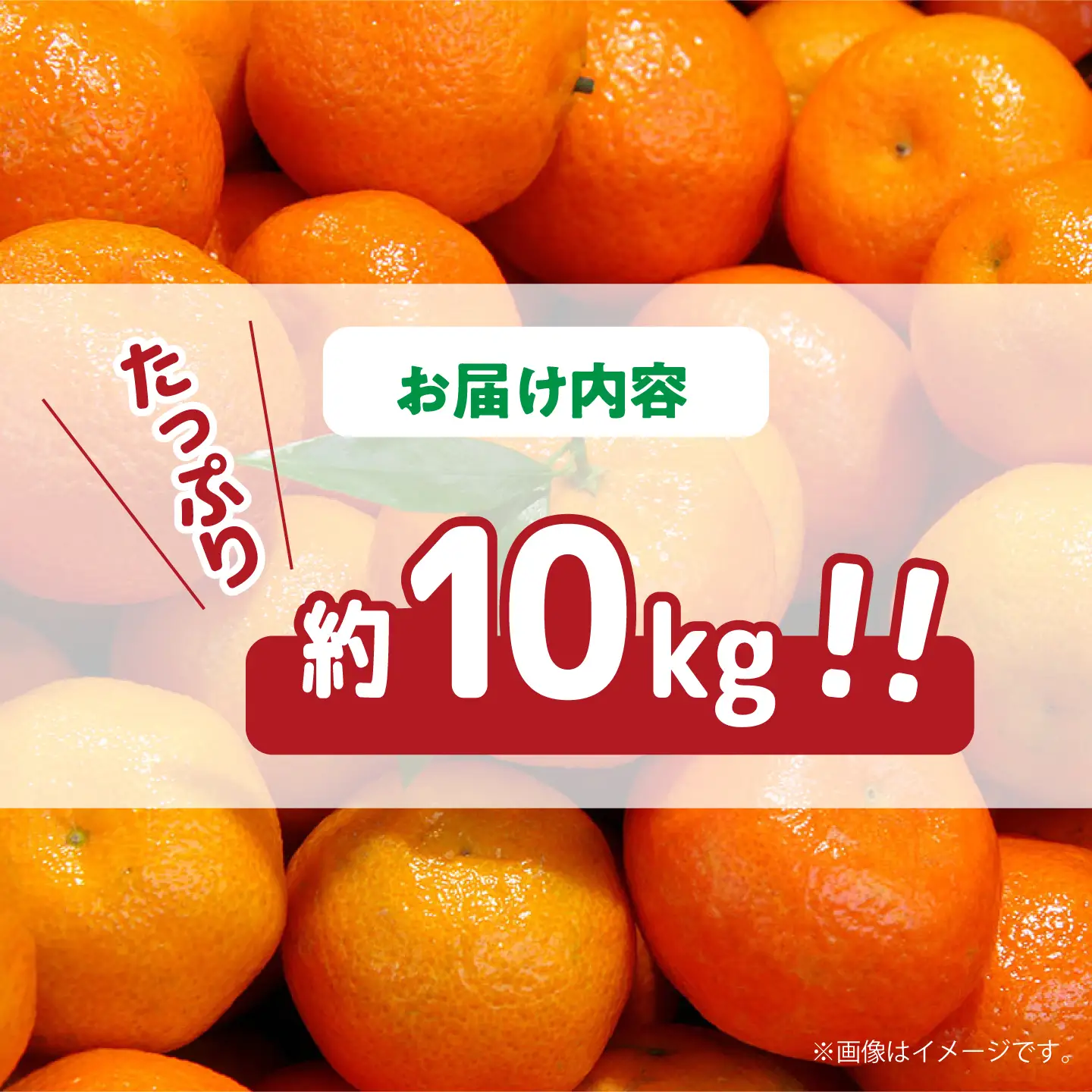 【2026年11月下旬-発送】温州みかん 約10kg（傷もの）南島原果物屋 [SCV015] みかん
