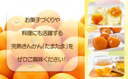 【先行予約】串間市産 完熟きんかん「たまたま」1kg（1kg×1箱）_K001-019