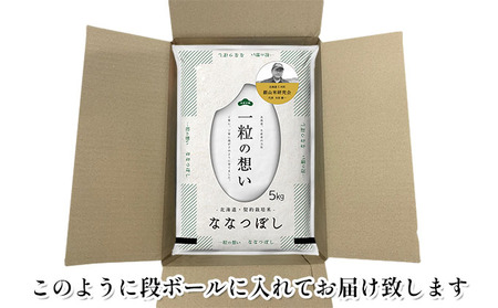 3ヵ月定期便 北海道産ななつぼし 20kg 銀山米 ななつぼし