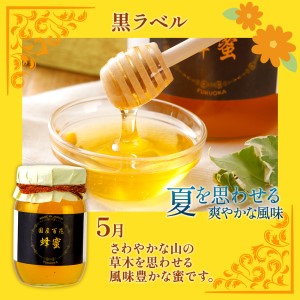 国産蜂蜜ギフト 500g×2本 はちみつ　CD02-1