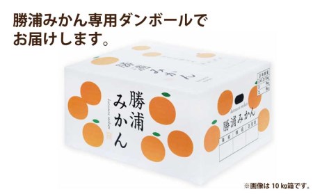 長田農園 早生みかん 秀品 S-Lサイズ 5kg