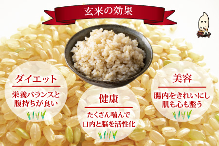 3ヶ月定期便 玄米 令和7年度産 永平寺町産 農薬不使用・化学肥料不使用 特別栽培米 コシヒカリ 5kg×3ヶ月 計15kg  ５キロ 5kg 米  米 お米 コメ 送料無料 こしひかり 福井