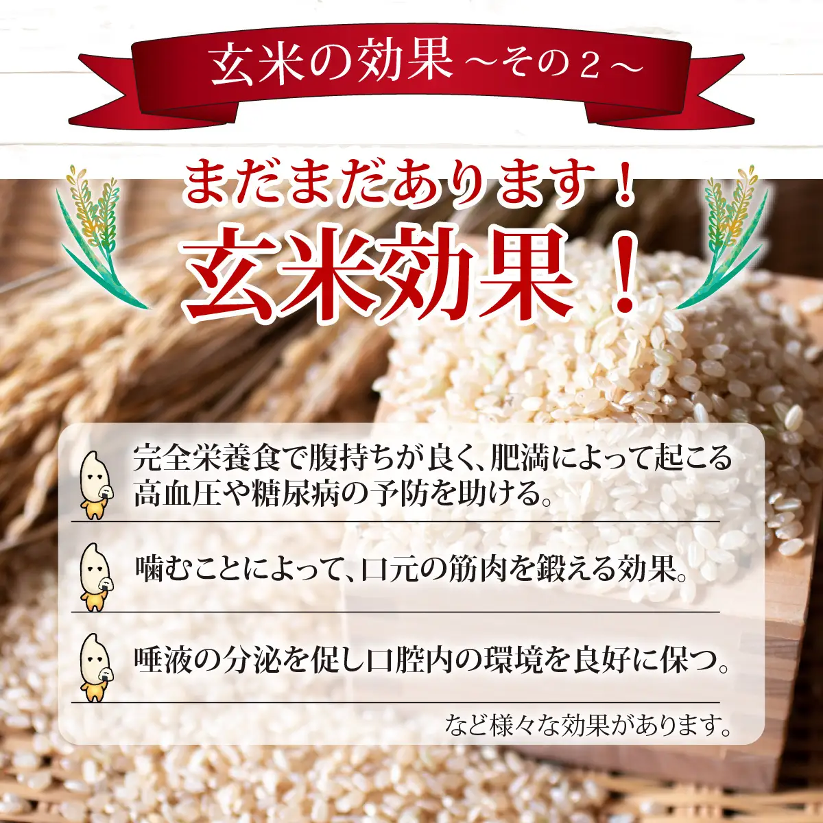 【3ヶ月定期便】【玄米】 令和8年度産　新米 永平寺町産 農薬不使用・化学肥料不使用 特別栽培米 コシヒカリ 10kg×3ヶ月 計30kg 10月上旬より順次発送 １０キロ 10kg 米  米 お米 コメ 送料無料 こしひかり 福井 [H-033070]