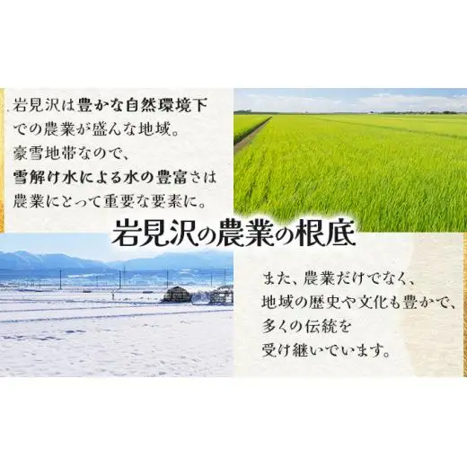 《令和 7 年産》お米 おぼろづき 5kg｜『100%自家生 産精米』善生さんの自慢の米 ※一括発送 北海道 岩見沢市【06121】 