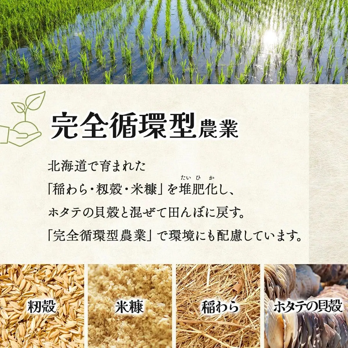 ＜令和8年産＞『100%自家生産玄米』善生さんの自慢の米 玄米ななつぼし 20kg｜北海道 岩見沢市 お米 新米【a104-112】【06134】