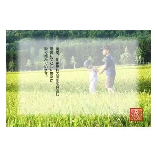 粘りと風味の美食米「おぼろづき」と旨辛の「ご飯のおとも」セット【18105】