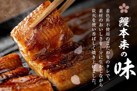 柳澤 流水桜 うなぎ 蒲焼き 8尾(計1360g)  f0-023