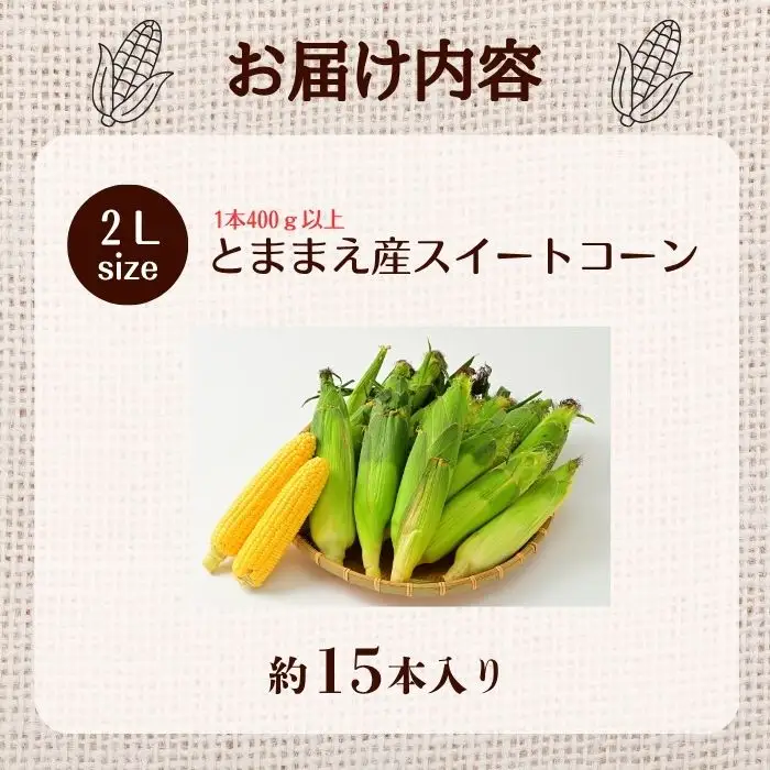 【2026年8月上旬から発送】北海道とままえ産 スイートコーン 2Lサイズ 約15本 とうもろこし 北海道産 先行 予約 受付 甘い 旬 産地直送 野菜 冷蔵 北海道 苫前町 とままえ rum11