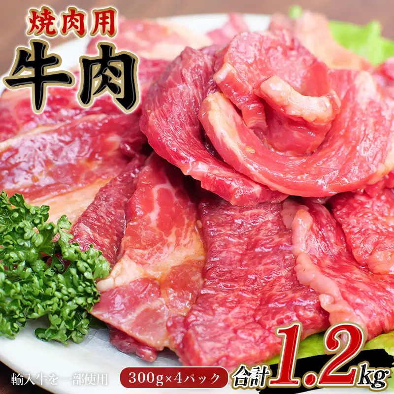 みんな大好き！味付き焼肉定期便【合計3回】 / 肉 牛肉 牛 鶏肉 小分け 味 焼き肉 焼肉 【tkb148】
