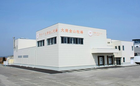 米の娘ぶたを使用した「米の娘ぎょうざ」(20g×48個) 餃子 ギョウザ 生餃子 焼き餃子 水餃子 豚肉 ブランド豚 ニラ 冷凍  金山町 F4B-0220
