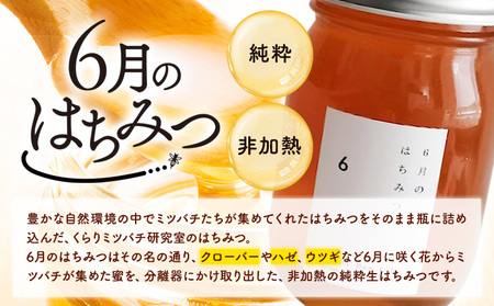 6月のはちみつ 540g KURARI くらりミツバチ研究室《90日以内に出荷予定(土日祝除く)》和歌山県 紀の川市 蜂蜜 ハチミツ 非加熱 純正生はちみつ トースト ヨーグルト st-p