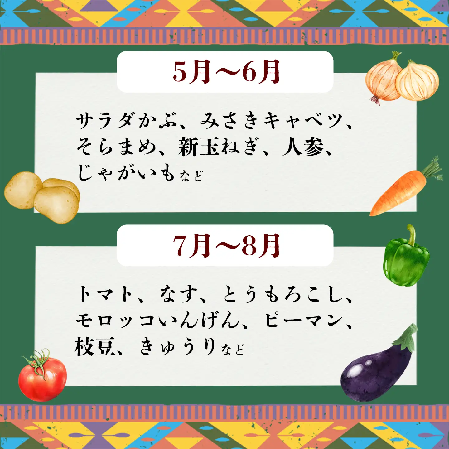 野菜 無農薬 農園自慢の情熱野菜セット 9種 【 6ヶ月 連続 お届け 】 