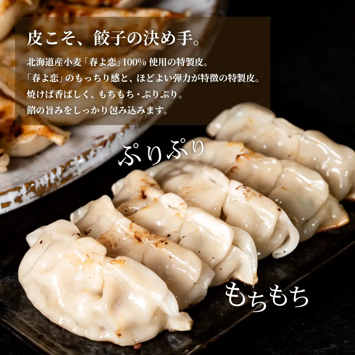 餃子 120個 ブランド豚 ローズポーク 餃子