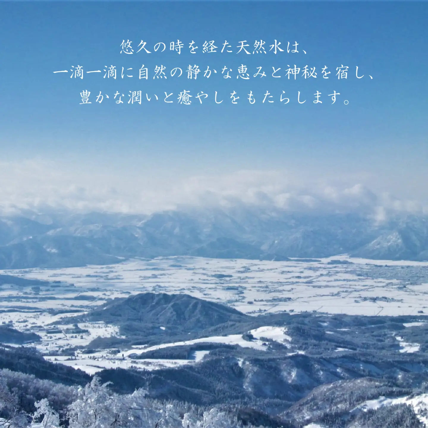 【6ヶ月連続お届け】越前大野の天然水　悠久のしずく PET2L 6本 計36本 天然水 天然水