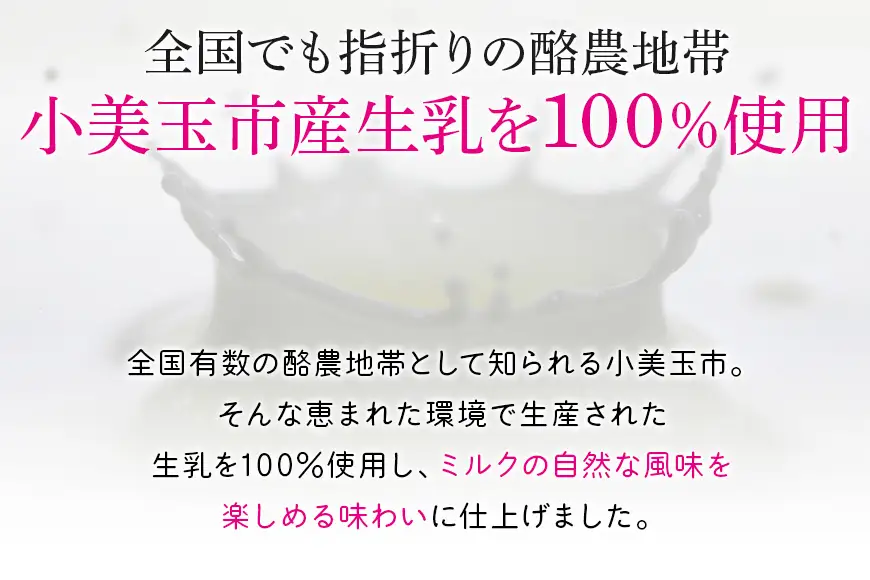 H61乳酸菌『からだ想いヨーグルト』 20個 ×2回発送  1-C