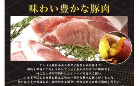サンゴク豚 細切れ・ひき肉セット 2kg 豚肉 小分け 真空パック 1.2キロ 1200g ブタ肉 細切れ肉 ひき肉 国産 茨城県産 ギフトプレゼント 高級部位 贈り物 贈答用 内祝い 2-L