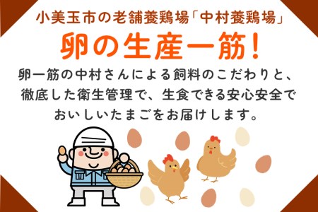 2回定期便 卵 計100個 ギフト用化粧箱50個（45＋補償5個）入り ×2回発送 15-D