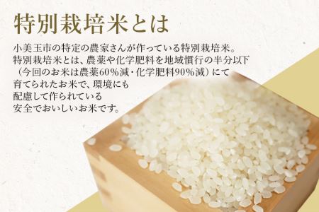 こだわり たまごかけごはんセット 22-A
