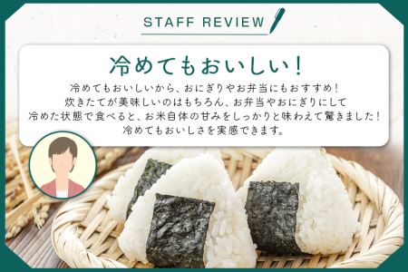 コシヒカリ 10kg 令和5年産 こしひかり 10キロ 特別栽培米 お米 ご飯 白米 減農薬 茨城県産米 茨城産米 精米 令和5年産米 国産国消 お祝い 内祝い ギフト 22-C