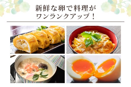 平飼い幸せの青い卵（アローカナの卵）24個（20＋補償4個） たまご タマゴ 玉子 安全 テレビ TV マニアさん 健康 美容 ご飯 すき焼き 目玉焼き 卵焼き 玉子焼き たまご焼き 卵かけご飯 卵かけごはん TKG ＜TBS系列『熱狂！1/365のマニアさん』やBSテレビ東京『都会を出て暮らそうよ』で紹介のうこっけいおみたまごファーム＞ 37-D