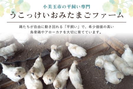 平飼い極上のうこっけいの卵と幸せの青い卵（アローカナの卵）のセット24個（20＋補償4個）×定期便6回 食べ比べ 食べくらべ 卵かけご飯 卵かけごはん TKG 卵 たまご タマゴ 玉子 安全 テレビ TV 健康 美容 すき焼き TBS系列『熱狂！1/365のマニアさん』やBSテレビ東京『都会を出て暮らそうよ』で紹介のうこっけいおみたまごファーム 37-H