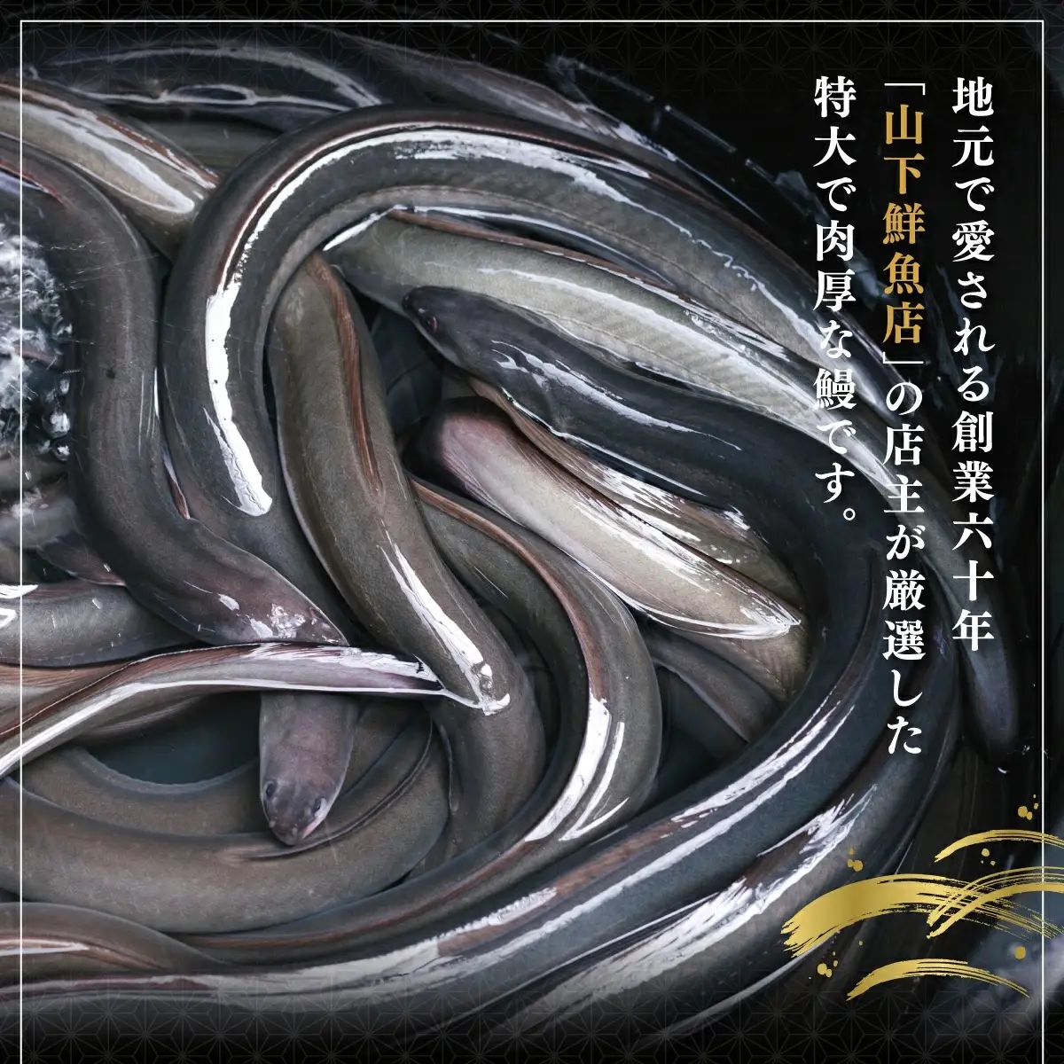うなぎ白焼き 400g (200g×2尾) 