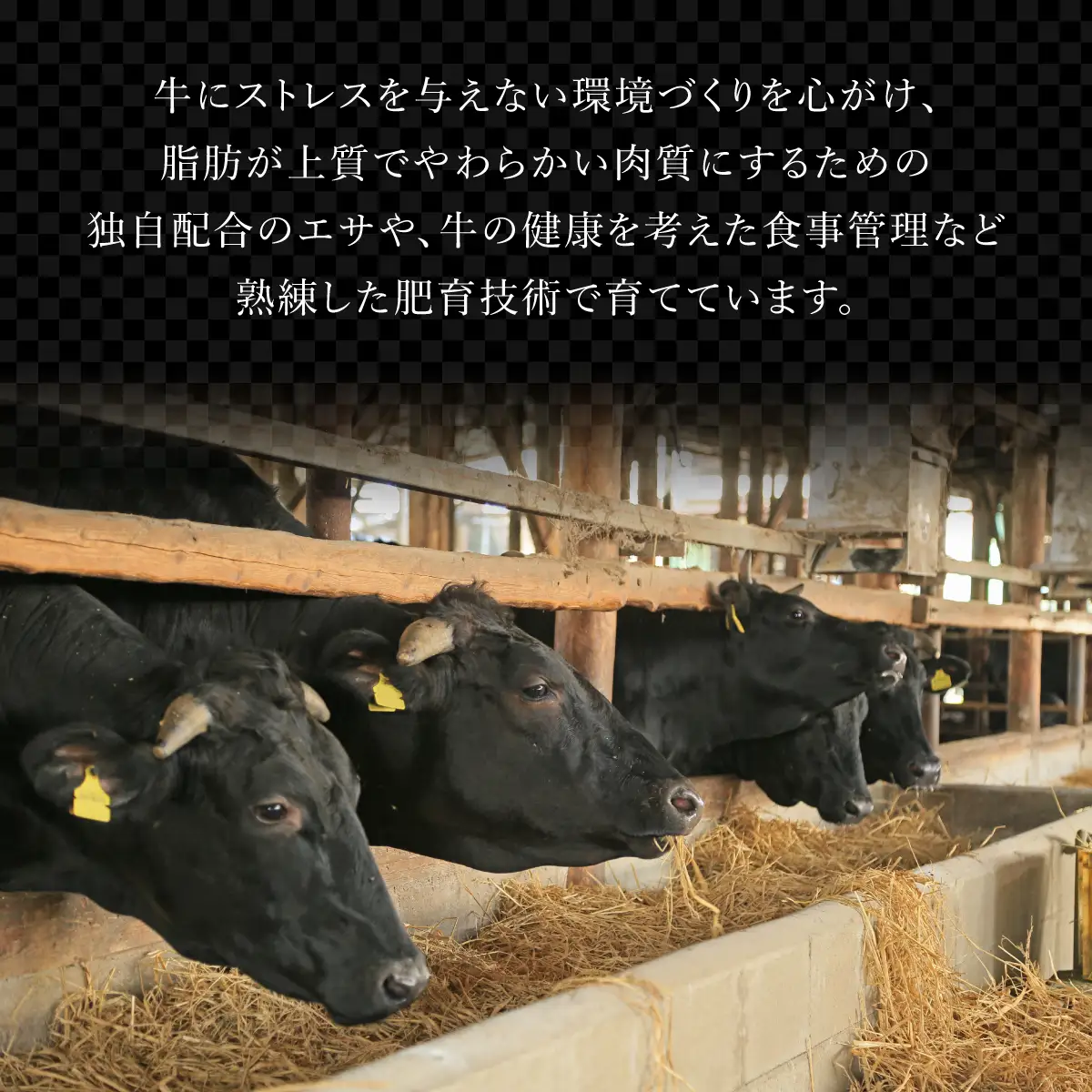 ブランド銘柄「佐賀牛」ヒレステーキ 計360g (180g×2枚)