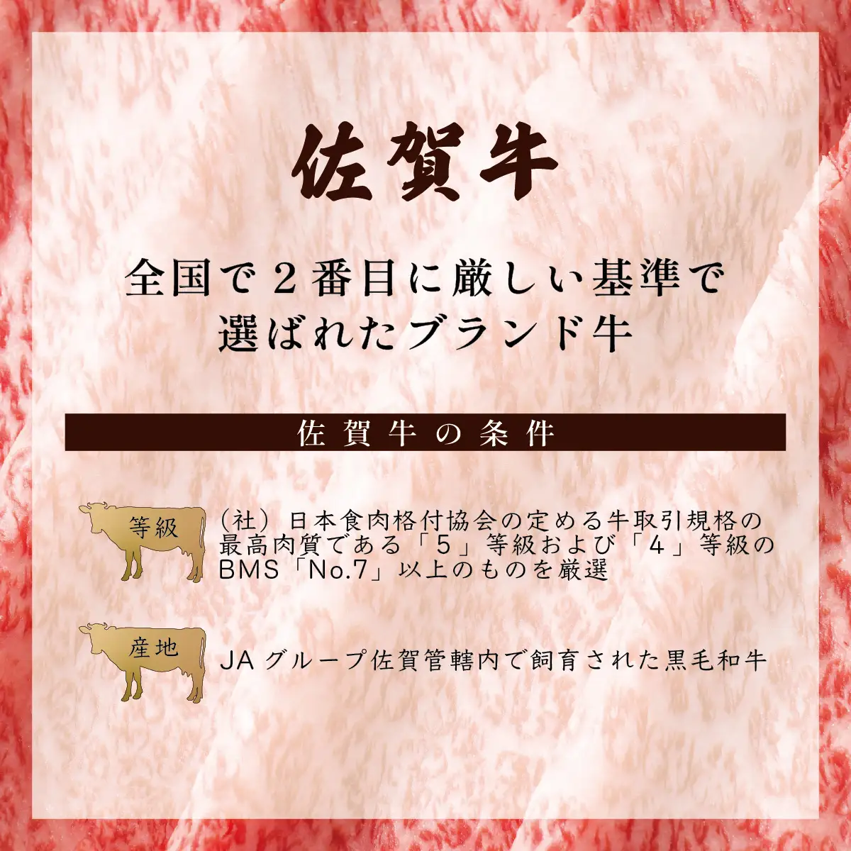 佐賀牛サーロインステーキ 500g (250g×2枚)