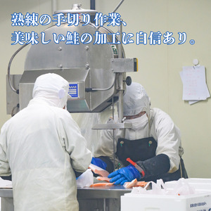 鮭 切り身 3kg 訳あり 塩鮭 大人気 家計応援【MS07】