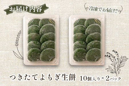 おもち よもぎ餅 20個 へんぽこ茶屋 つきたてよもぎ生餅 つきたて冷凍_HE057_001