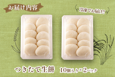 おもち 20個 へんぽこ茶屋 つきたて生餅 つきたて冷凍_HE057_002