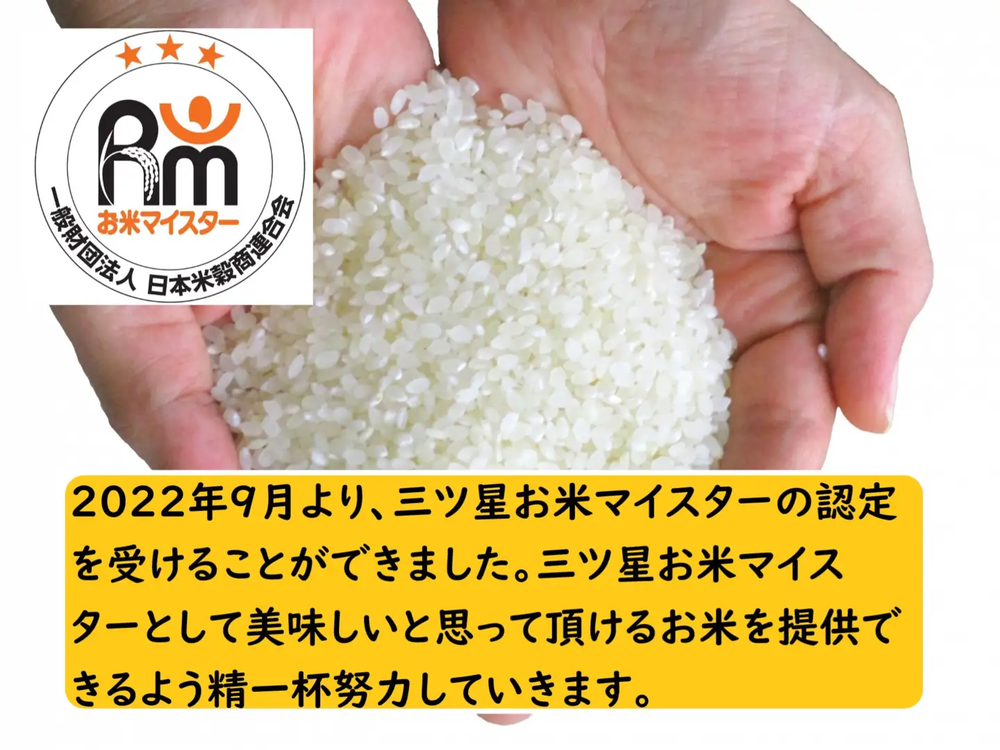 令和7年産 茨城あきたこまち 10kg 5kg×2袋 あきたこまち 白米 精米 ごはん お米 国産 茨城県産 守谷市 送料無料