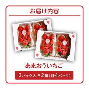 【2027年1月より順次発送】あまおういちご_いちご あまおう 2パック 2箱 計4パック 果物 フルーツ 産地 福岡 久留米 九州産 長尾農園 ストロべリー 甘い スムージー いちごジャム お取り寄せ お取り寄せフルーツ 食品 食べ物 おやつ お菓子作り 送料無料 〔Fi047〕