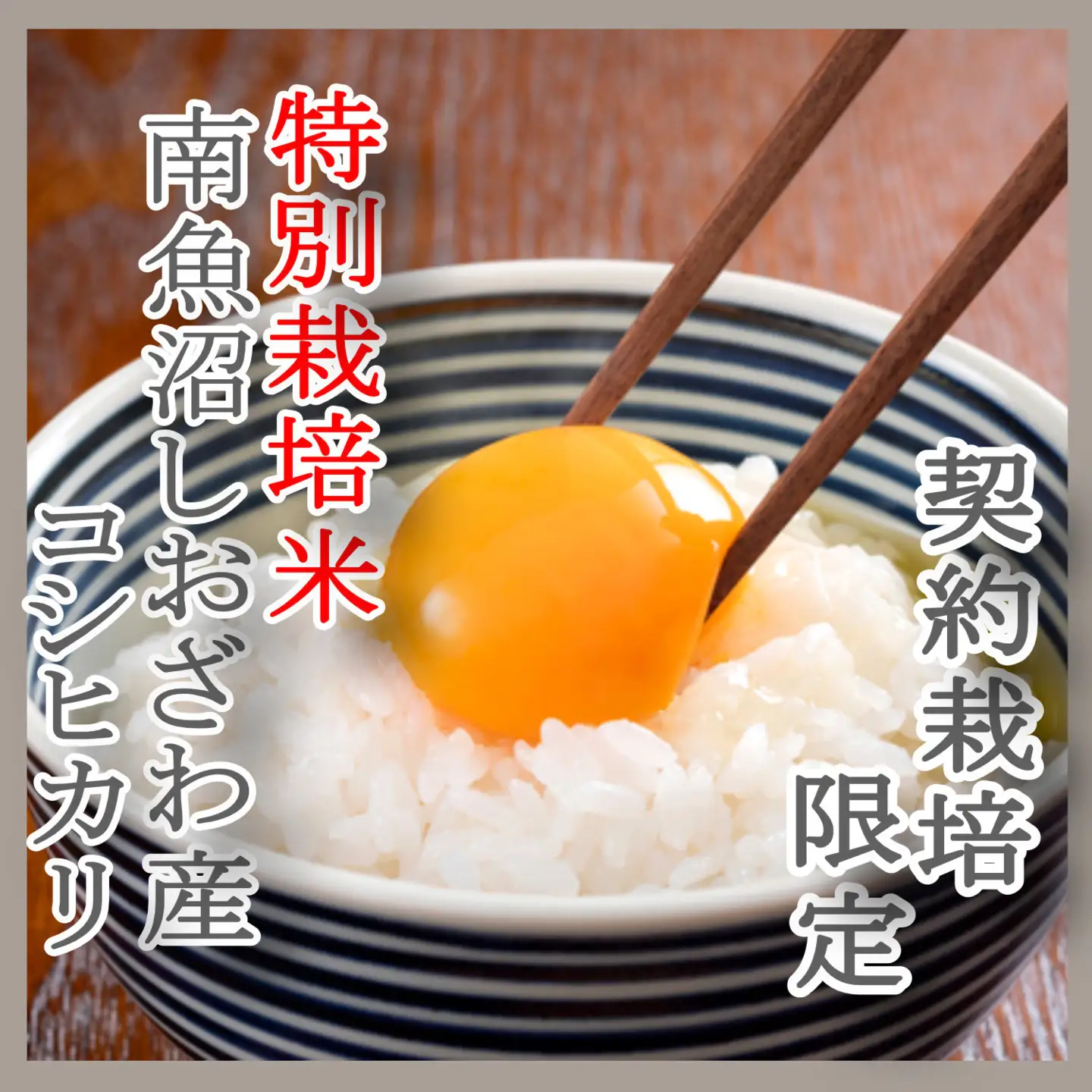 【令和7年産】※定期便：6Kg×3ヶ月※特別栽培 生産者限定  南魚沼しおざわ産コシヒカリ【定期便 銘柄米 ブランド米 精米 こしひかり コシヒカリ 魚沼産 新潟米 産地直送 お米 米 こめ コメ ご飯 御飯 ごはん】